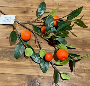 Fruiting Orange Stem