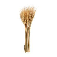 Load image into Gallery viewer, Natural Small Wheat Bundle
