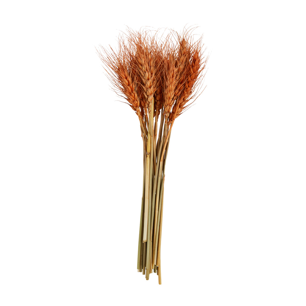 Rust Small Wheat Bundle