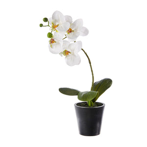 16" Real Touch Potted White Orchid