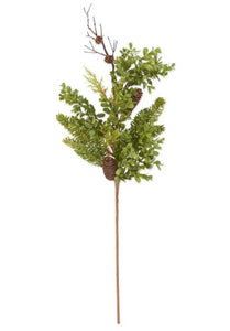 Mixed Foliage Branch w/ Pinecones