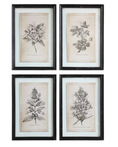 Wood Framed Wall Decor w/ Floral Image