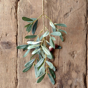 Spanish Olive Cutting