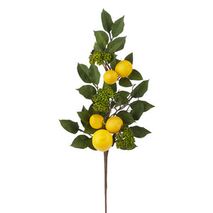 32" Limoncello Lemon Spray