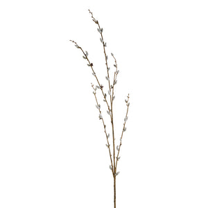 46" Pussywillow Branch