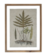 Load image into Gallery viewer, Framed Wall Decor with Botanical Print
