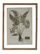 Load image into Gallery viewer, Framed Wall Decor with Botanical Print
