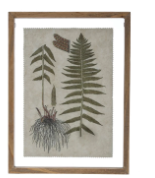 Load image into Gallery viewer, Framed Wall Decor with Botanical Print
