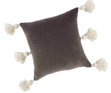 Load image into Gallery viewer, Tassel Velvet Pillow

