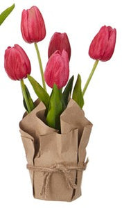 10" Real Touch Potted Tulips