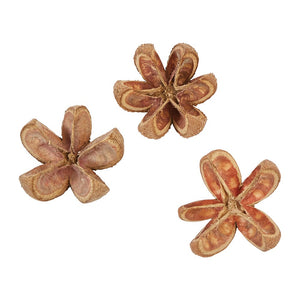 Dried Natural Achiote Flower