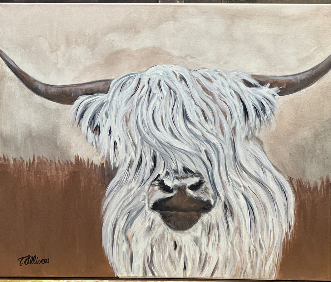 Highland Cow, 28x22