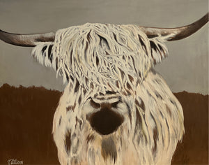 Highland Cow, 36x48