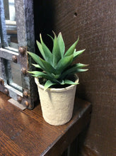 Load image into Gallery viewer, Faux Succulent in Paper Pot
