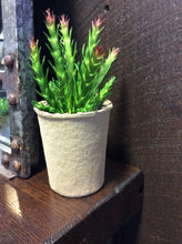 Load image into Gallery viewer, Faux Succulent in Paper Pot
