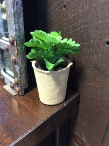 Faux Succulent in Paper Pot