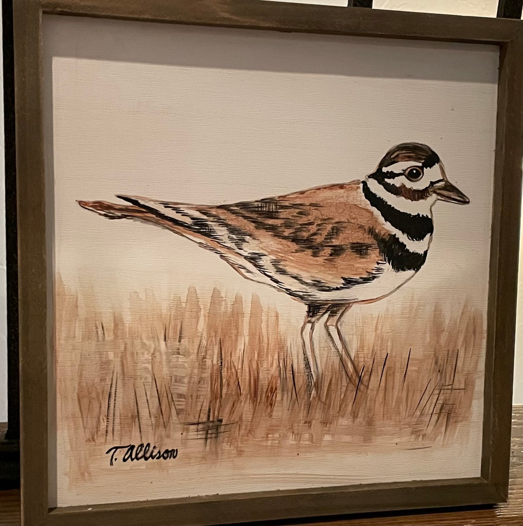 Framed Kildeer