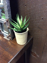 Load image into Gallery viewer, Faux Succulent in Paper Pot
