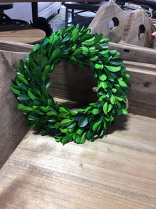 Medium Preserved Boxwood Wreath