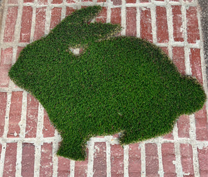 Bunny Grass Mat