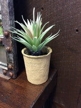 Load image into Gallery viewer, Faux Succulent in Paper Pot
